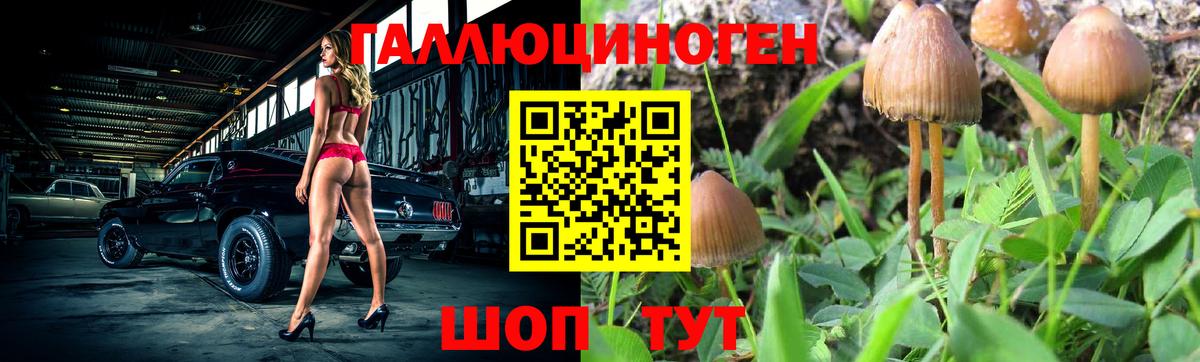 Псилоцибиновые грибы Magic Shrooms Бор